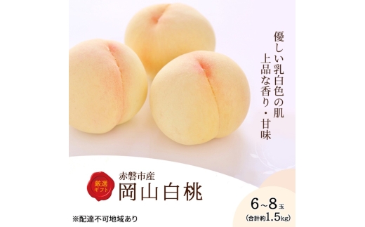 桃 2026年 先行予約 岡山白桃 6～8玉 約1.5kg 化粧箱入り 岡山県 赤磐市産 果物 フルーツ 白桃 もも モモ