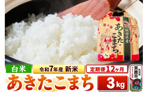 《定期便12ヶ月》令和7年産 新米【白米】秋田県産 あきたこまち 3kg 秋田県 男鹿市 こまちライン 2297841 - 秋田県男鹿市