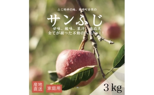 ＜産地直送＞サンふじ 家庭用 3kg(7～10個)【1663938】