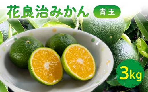 【10月下旬より出荷開始】 数量限定 花良治みかん 青玉 3kg ケラジ ミカン 柑橘 果物 くだもの 季節限定 期間限定 数量限定 旬 限定 国産 贈答 ギフト 贈り物 プレゼント 高知県 室戸市