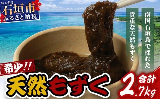 石垣島産 天然もずく６パック・内容量450g×6 合計2.7kg | 沖縄県 石垣市 天然 水雲 海藻 もずく フコイダン 常温保存 塩もずく SI-75