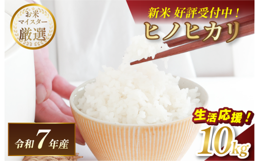 ＼数量限定／令和7年産 愛媛県産 ヒノヒカリ 10kg 【V003280K10】【令和7年11月以降順次発送】マルヒ食糧 コメ おこめ 新米 白米 数量限定 家計応援米 令和7年度産 精米 まるひ 国産 家庭用 ふるさと納税こめ ふるさと納税米10キロ米 ブランド米 ひのひかり