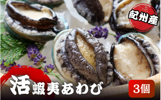 やわコリ食感紀州の蝦夷アワビ 【3個入】  ※北海道・沖縄・離島への配送不可 / 鮑 アワビ あわび 人気 活アワビ 冷蔵【yas001】 1235998 - 和歌山県紀美野町
