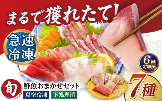 【全6回定期便】超速冷凍鮮魚7種（5種+焼物用2種）五島市/金沢鮮魚 [PEP070] 2261685 - 長崎県五島市