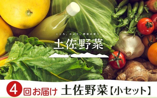 『定期便 全4回』[土佐野菜]旬の野菜の詰め合わせ 小セット | 野菜セット セット新鮮 野菜 毎月 人気 おすすめ 高知県 南国市