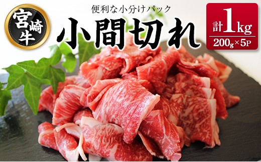 宮崎牛 小間切れ 便利な小分け 200g×5P 計1kg 人気 冷凍 国産【C449】
