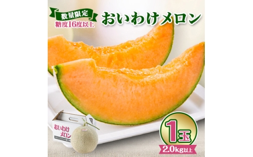 ＜2026年発送＞おいわけメロン 糖度16度以上 2.0kg以上×1玉(数量限定)【1102196】 325010 - 北海道安平町