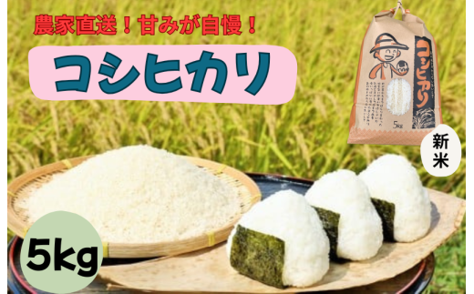 千葉・我孫子の農家直送！ふっくら甘み自慢の新米コシヒカリ5kg