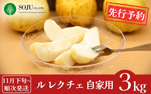 先行予約 ル レクチェ 自家用 約3kg [11月下旬から発送予定] 洋梨 JGAP認証農場 幻の西洋梨 新潟県 三条市産 冬限定 フルーツ 秋 旬 ル・レクチェ  [三条果樹専門家集団]【010P067】 1000308 - 新潟県三条市