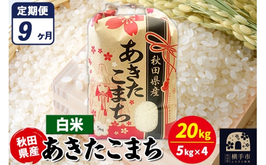 《定期便9ヶ月》あきたこまち 20kg【白米】令和7年産 秋田県産 こまちライン 2297933 - 秋田県横手市
