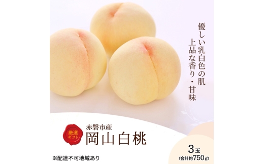 桃 2026年 先行予約 岡山白桃 3玉 約750g 化粧箱入り 岡山県 赤磐市産 果物 フルーツ 白桃 もも モモ