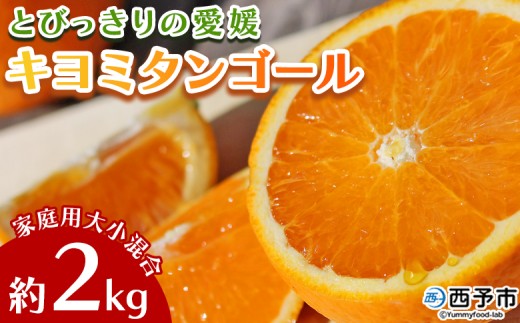 先行予約 ＜とびっきりの愛媛 キヨミタンゴール 約2kg（家庭用大小混合）＞ 訳あり 家庭用 果物 柑橘 フルーツ みかん 蜜柑 オレンジ 清見タンゴール 特産品 片山果樹園 食べて応援 西宇和 愛媛県 西予市【常温】『2026年3月中旬から順次出荷予定』
