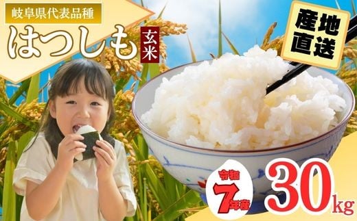 【岐阜県代表品種】令和7年産ハツシモ米 【玄米】30kg L6　【11月以降順次発送】 916741 - 岐阜県関市