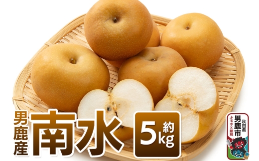 《先行受付》南水 約5kg 10月中旬～11月中旬発送 梨 旬の果物 ギフト 秋田県 男鹿市 男鹿ファーム直売所