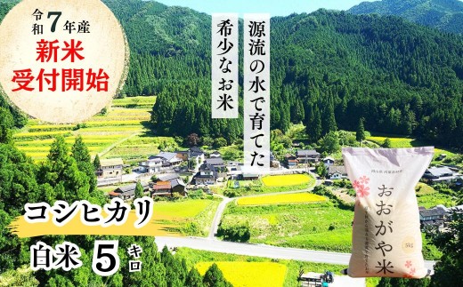 《令和7年産新米受付開始》白米 5kg 令和7年産 コシヒカリ 岡山 「おおがや米」生産組合 G-af-AEFA 1329226 - 岡山県西粟倉村