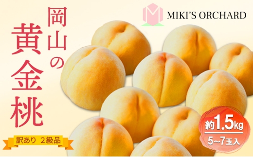 桃 [ 訳あり 2級品 ] 2026年 先行予約 黄金桃 約1.5kg(5〜7玉入り) MIKI'S ORCHARD もも モモ 果物 フルーツ 岡山 赤磐市