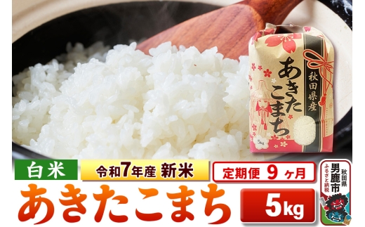 《定期便9ヶ月》令和7年産 新米 【白米】秋田県産 あきたこまち 5kg 2297849 - 秋田県男鹿市