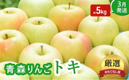 【3月発送】おもてなし用 家庭用 葉とらず トキ 約5kg【青森りんご】果物 フルーツ デザート 食後 青森県産 産地直送