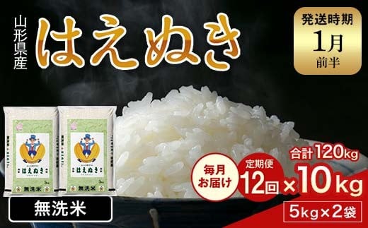 FYN2-031 【12回定期便・1月前半発送】令和7年産 新米 山形県産 はえぬき 10kg 2025年 お米 米 米米 ごはん ご飯 白米 国産 ブランド米 節水 時短 冷めてもおいしい お取り寄せ 食品 山形県 西川町 月山 