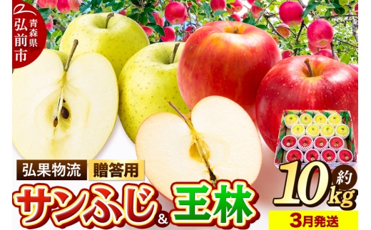 【26年3月発送】りんご 贈答用 サンふじ・王林 詰め合わせ 約10kg【レビューキャンペーン】 2160622 - 青森県弘前市