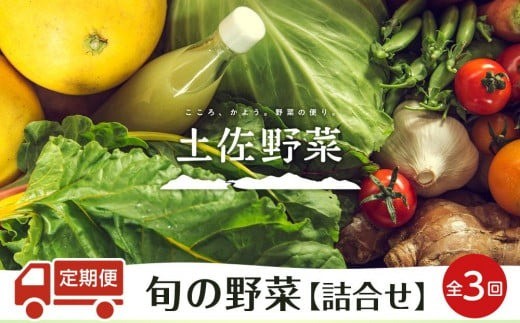 『定期便 全3回』【土佐野菜】旬の野菜の詰め合わせ | 野菜セット セット 野菜定期便 新鮮 野菜 毎月 人気 おすすめ 高知県 南国市