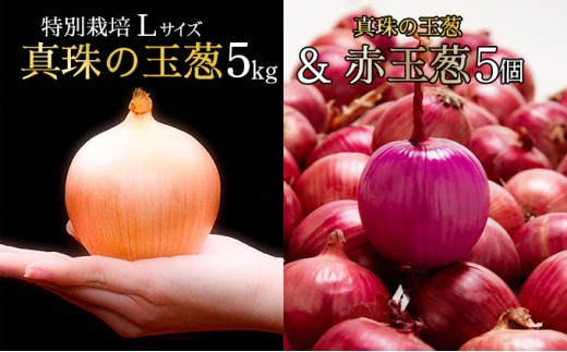 真珠の玉葱 特別栽培 Lサイズ 5kg (赤玉葱5個入り) ≪海のミネラルで育てた特別栽培玉葱≫【50108】 982417 - 北海道岩見沢市