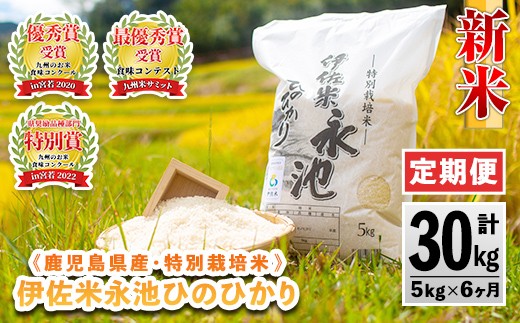 D2-04 【定期便】令和7年産 特別栽培米 伊佐米永池ひのひかり(計30kg・5kg×6ヶ月) 伊佐市 永池 お米 米 白米 精米 伊佐米 食味コンテスト 最優秀賞受賞 ヒノヒカリ 【エコファーム永池】 316359 - 鹿児島県伊佐市