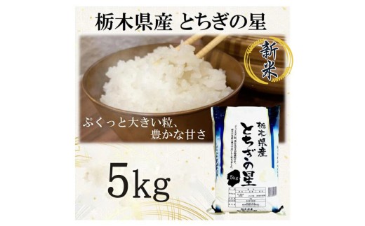 【令和7年産】栃木県産とちぎの星（精米）5kg×1袋 ｜ お米 白米 一等米 送料無料 栃木県 宇都宮市　※離島への配送不可 851847 - 栃木県宇都宮市