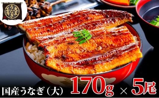 [№5695-1777]うなぎ蒲焼 170g×5尾(850g) うなぎ ウナギ 鰻 蒲焼 蒲焼き冷凍 国産 大五 大五通商 静岡 島田市 1905192 - 静岡県島田市