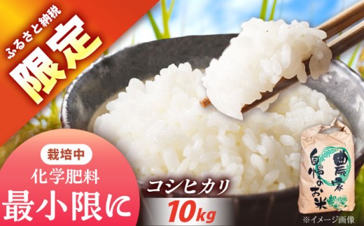 〈ふるさと納税限定！〉令和7年度産コシヒカリ 10キロ  / 米 お米 コシヒカリ 新米 精米 白米 産地直送 / 恵那市 / トモファーム [AUCA004] 2292917 - 岐阜県恵那市