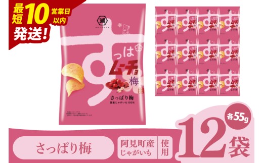 【10営業日以内に出荷】湖池屋 すっぱムーチョチップス さっぱり梅味 55g×12個|お菓子 おかし おやつ スナック スナック菓子 菓子 ポテチ 大容量 おつまみ じゃがいも（93-139） 2305064 - 茨城県阿見町
