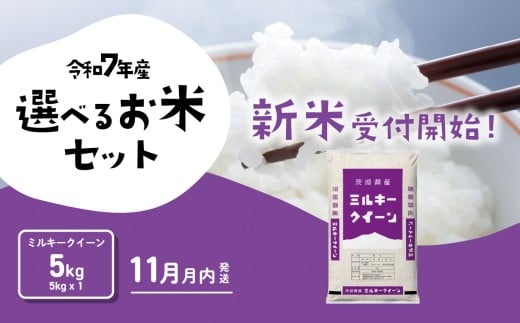 【11月月内発送】ミルキークイーン 5kg 令和7年産 茨城県産 白米 精米 茨城県 お米 米 [SF362yai]