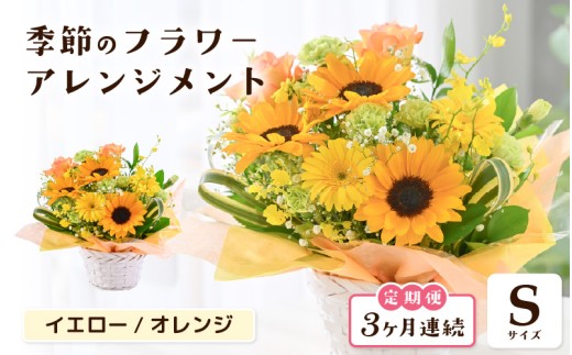 定期便 ≪3ヶ月連続お届け≫ 選べるカラー 季節のフラワーアレンジメント S ( イエロー・オレンジ) 【お花 フラワー アレジメント 花束 ギフト 生花 プレゼント 花束 花 記念日 敬老の日 お祝い】 [B-20702_02]  2286570 - 福井県坂井市