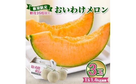 ＜2026年発送＞おいわけメロンパック 糖度16度以上 1.4kg前後×3玉(数量限定)【1137369】 325023 - 北海道安平町