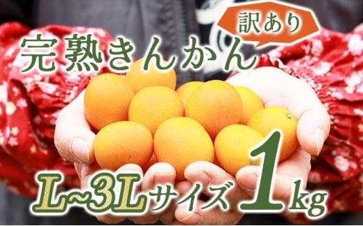[先行予約][訳あり]完熟きんかん1kg [玉様ファーム]