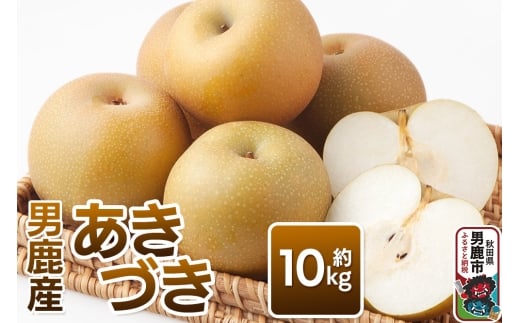 《先行受付》あきづき 約10kg 9月下旬～10月上旬発送 梨 旬の果物 ギフト 秋田県 男鹿市 男鹿ファーム直売所
