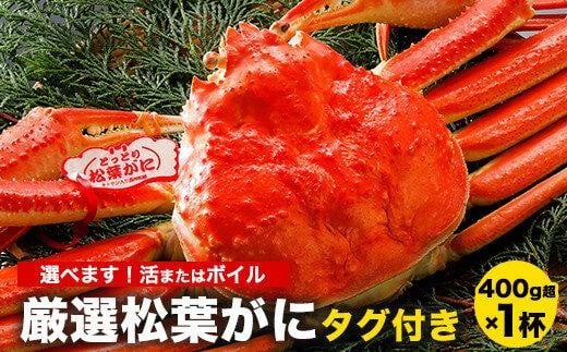 774.[選べます!活またはボイル]≪2025年11月発送≫ 特撰 松葉がに[ブランドタグ付き] 400g超×1杯[松葉ガニ 松葉蟹 松葉かに 蟹 かに 山陰 特大 大きい 活 ボイル タグ付き 鳥取県産 鳥取県 北栄町 おすすめ 人気 新鮮]