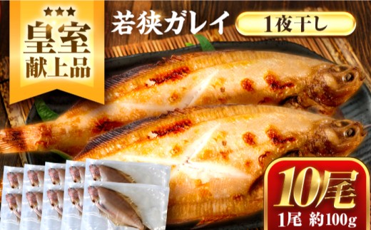 【年内配送】献上鰈 上品な味わい 若狭かれい一夜干し 約100g×10尾セット / 干物 魚介 冷凍 ギフト 小浜市 / まるほ商店 【配送不可地域：北海道・沖縄・離島】 [BFCS060] 2296490 - 福井県小浜市