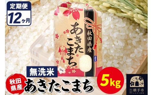 《定期便12ヶ月》あきたこまち 5kg【無洗米】令和7年産 秋田県産 こまちライン