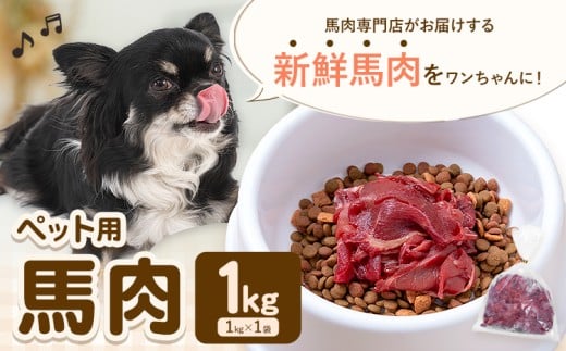 ペット用馬肉 1kg 五右衛門フーズ《30日以内に出荷予定(土日祝除く)》 ペット用 犬用 肉 馬肉 熊本県 菊池市