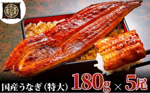 [№5695-1778]うなぎ蒲焼 180g×5尾(900g) うなぎ ウナギ 鰻 蒲焼 蒲焼き冷凍 国産 大五 大五通商 静岡 島田市 1905193 - 静岡県島田市