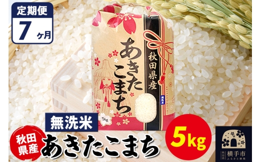 《定期便7ヶ月》あきたこまち 5kg【無洗米】令和7年産 秋田県産 こまちライン 2297943 - 秋田県横手市