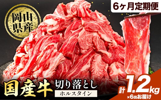 牛肉 肉 国産牛 切り落とし ホルスタイン 大容量 小分け 1.2kg × 6ヶ月定期便 《お申込み月の翌月から出荷開始》岡山県産 岡山県 笠岡市 お肉 にく カレー 牛丼 牛肉 切り落し 小分け 切落し 牛肉 小分け 牛肉