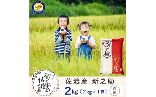 【新米予約】佐渡島産 新之助 白米2kg×1袋 2298585 - 新潟県佐渡市