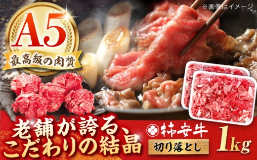 【2025年12月発送】最高級A5等級 柿安牛 牛肉 切り落とし 1kg (500g × 2P)  / 三重県 / 亀山市 / 柿安本店 [AMBW033] / 切り落とし 赤身 牛肉切り落とし 牛肉 牛 切り落とし牛肉 牛肉 ブランド牛 和牛 国産牛 切り落とし 切りおとし 冷蔵 送料無料  / 三重県 / 亀山市 / 柿安本店 [AMBW033-12] 2298845 - 三重県亀山市