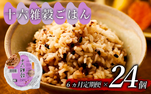 定期便 6回 十六雑穀 ごはんパック 160g 24個 パックごはん パックご飯 ごはんパック ご飯パック パックライス パック 16雑穀 雑穀 米 ごはん ご飯 こめ ライス 備蓄 保存 防災 レンジ 調理 簡単 レンチン 温めるだけ 健康 ダイエット 美容 栄養 ヘルシー 国産 24 24食 レトルト インスタント おいしい 人気 おすすめ おくさま印 大阪 松原