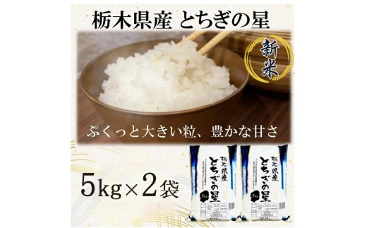 【令和7年産】栃木県産とちぎの星 （精米）5kg×2袋 ｜ お米 白米 一等米 送料無料 栃木県 宇都宮市　※離島への配送不可 851846 - 栃木県宇都宮市