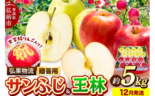 【25年12月発送】りんご 贈答用 サンふじ・王林＋文字絵入りりんご1個 約5kg【レビューキャンペーン】 2160634 - 青森県弘前市