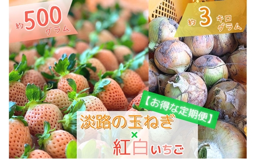 [先行受付/定期便]旬の味覚がいろいろ届く◎[淡路島産]玉ねぎ(3kg)と紅白イチゴ(500g)の贅沢セット! 兵庫県 洲本市 淡路島 