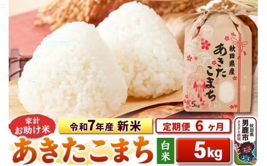 《定期便6ヶ月》令和7年産 新米 【白米】家計お助け米 あきたこまち 5kg 2297736 - 秋田県男鹿市
